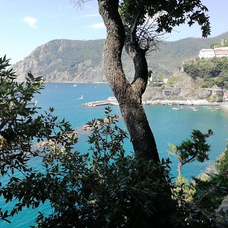 蒙特罗索阿尔马雷La Terrazza Sul Mare ☆☆☆☆☆ Monterosso公寓 外观 照片